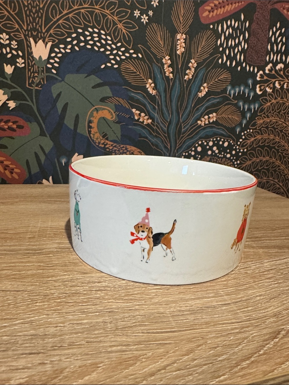 NWOT | Beth Briggs Holiday dog bowl